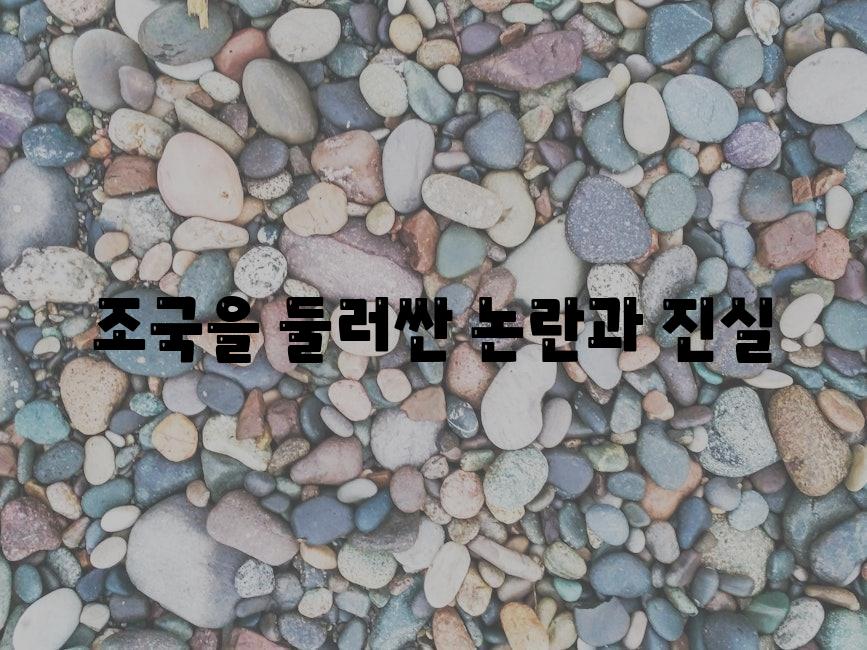 조국을 둘러싼 논란과 진실