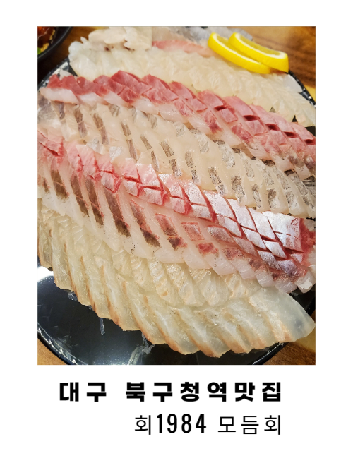 회1984 이미지