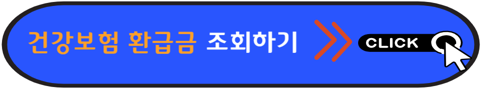 건강보험 환급금 조회