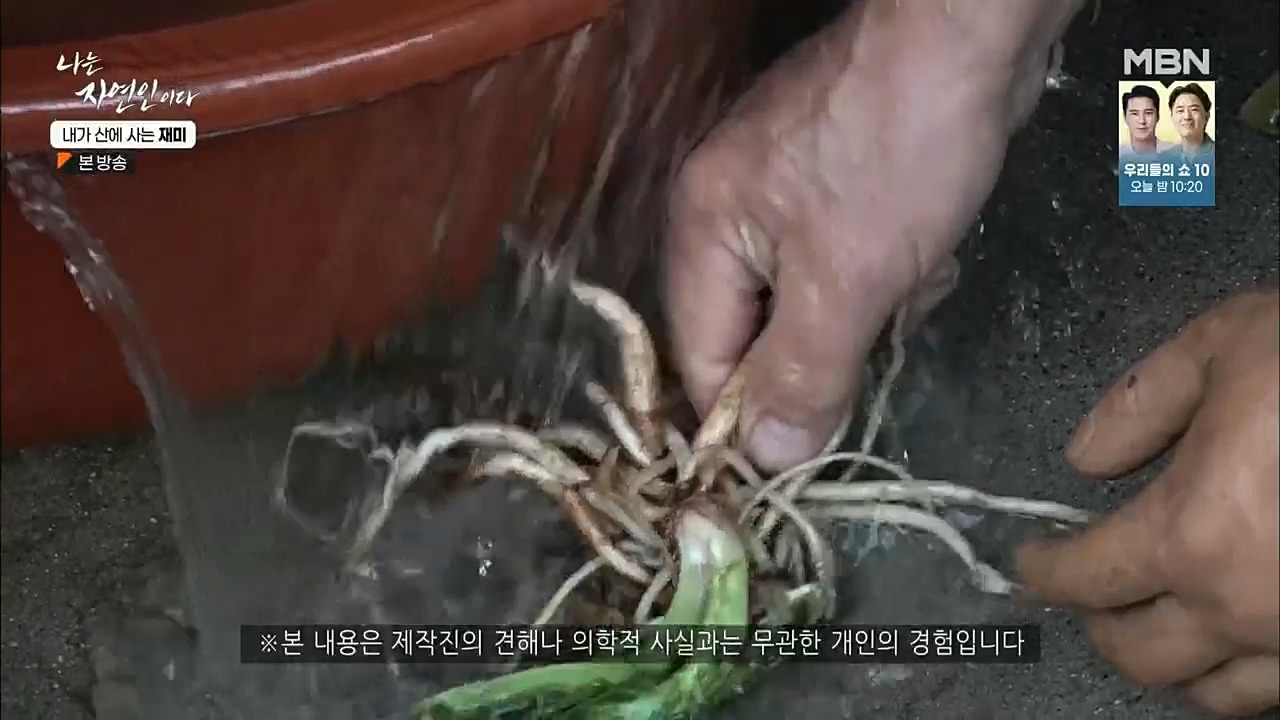 나는 자연인이다.E529.221124p.H264-F1RST.mp4_20221124_194734.477.jpg