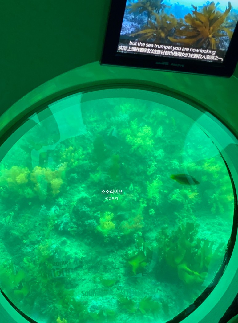 서귀포 잠수함