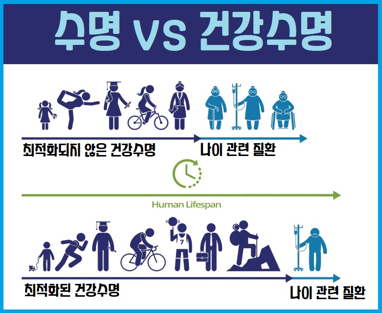 수명 vs 건강수명