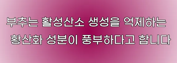 부추는 활성산소 생성을 억제하는 황산화 성분이 풍부하다고 합니다