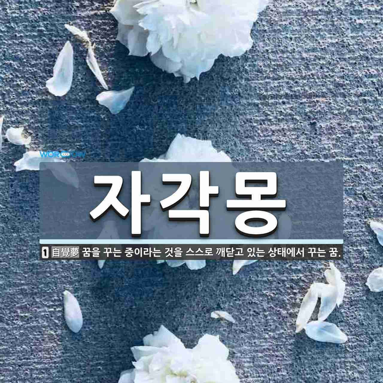 자각몽 이미지