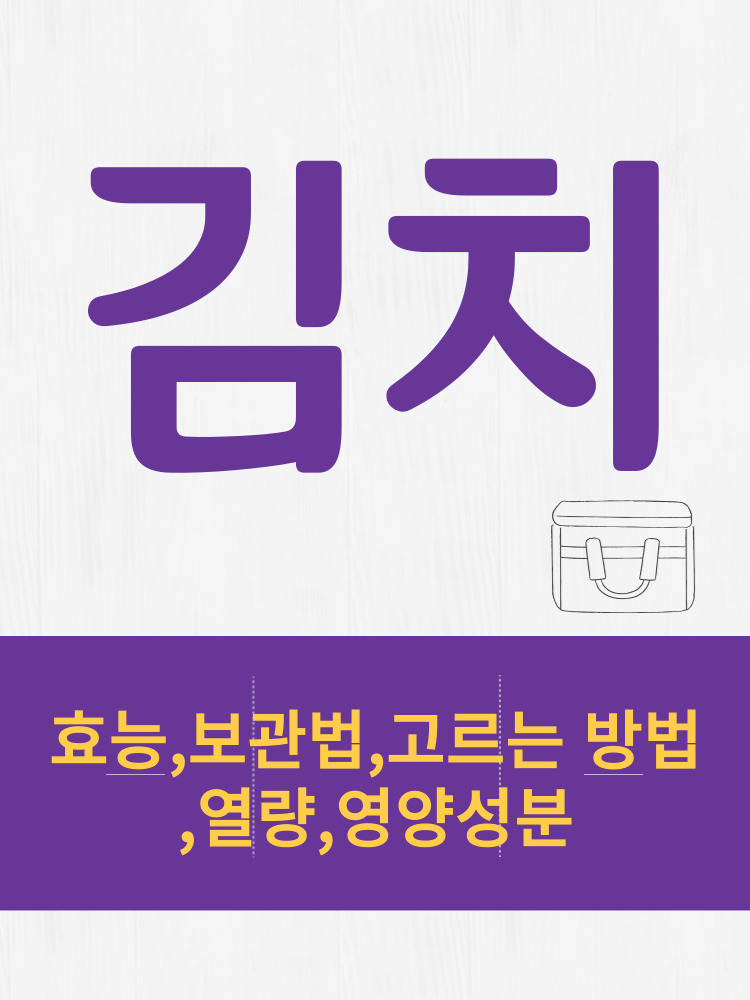  김치 효능 및 열량과 보관법 칼로리 총정리 