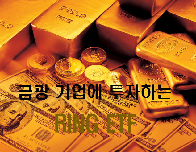  RING ETF - 금광 기업에 투자하는 대표 ETF