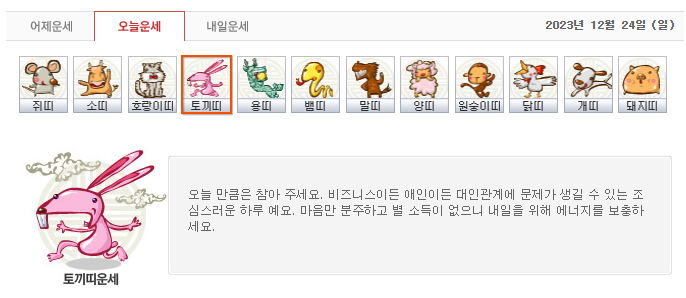 네이트 신년운세