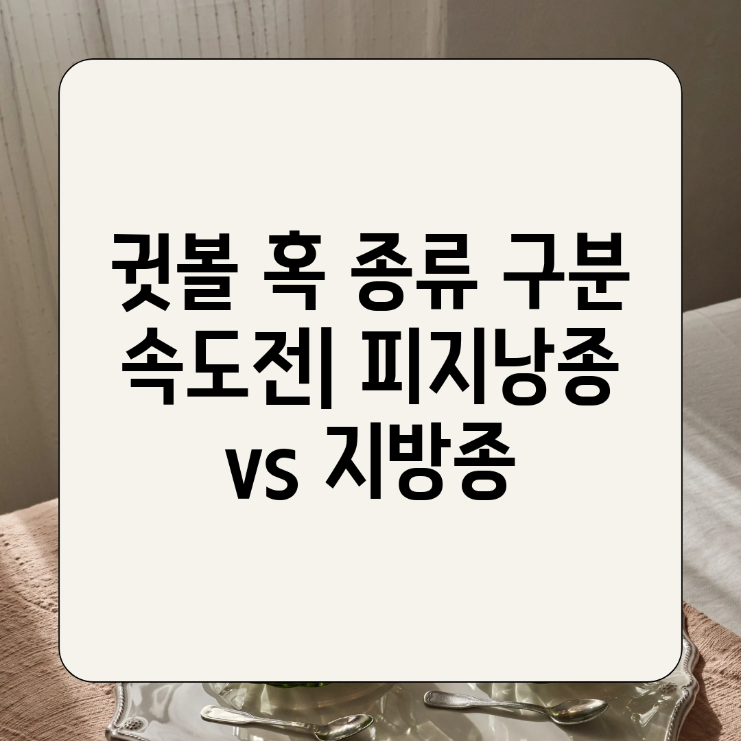 귓볼 혹 종류 구분 속도전 피지낭종 vs 지방종