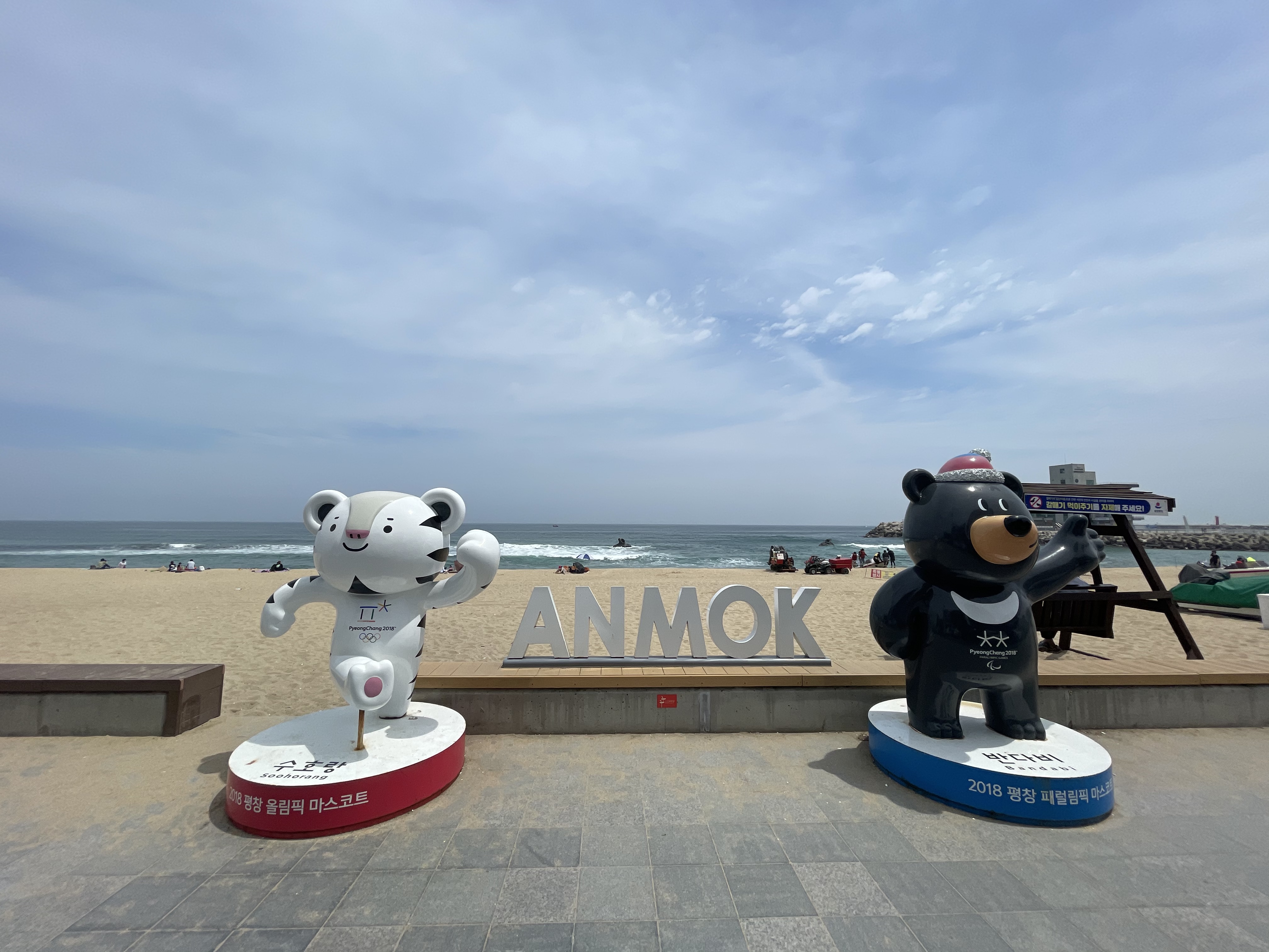  [강릉] 강릉 가볼만한곳 여행 경포대 안목해변 통유리 AM카페 내돈내산 방문기