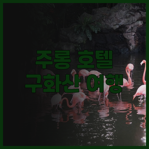 주롱 호텔 츠저우 숙박 후기.. 구화