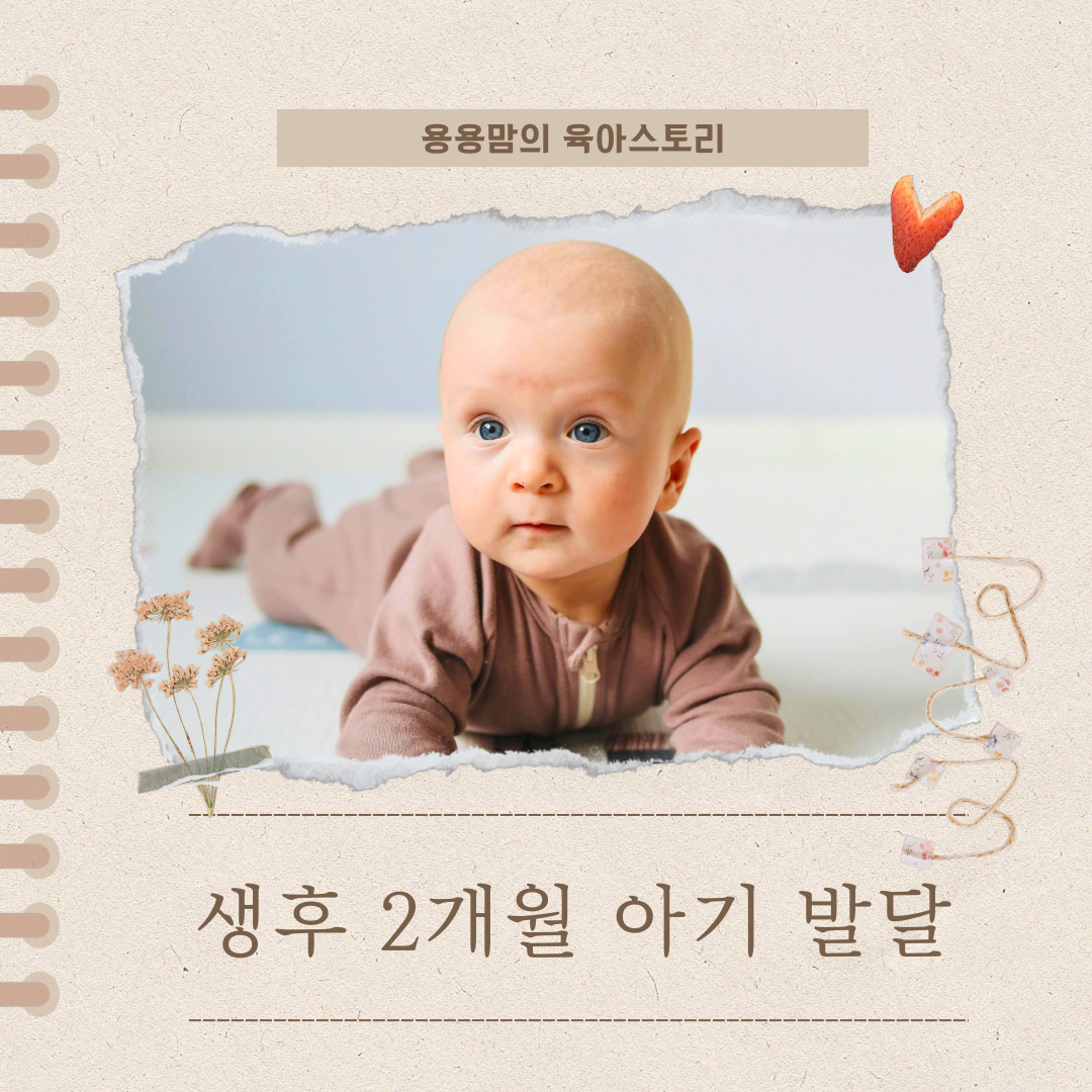 초보 부모를 위한 성장 가이드