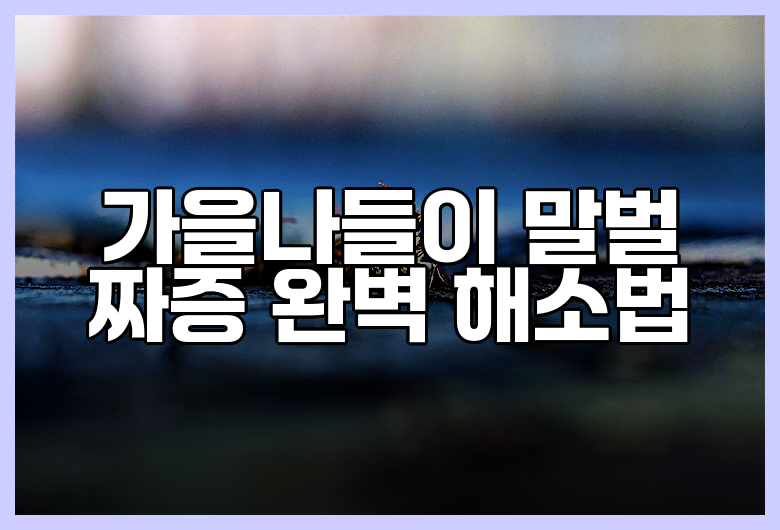 가을나들이 말벌 짜증 완벽 해소법