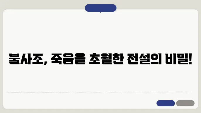 불사조와 새로운 해석