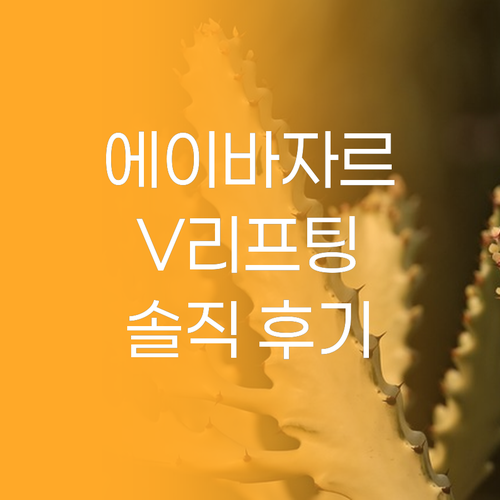 에이바자르 V리프팅 마스크, 내돈내산
