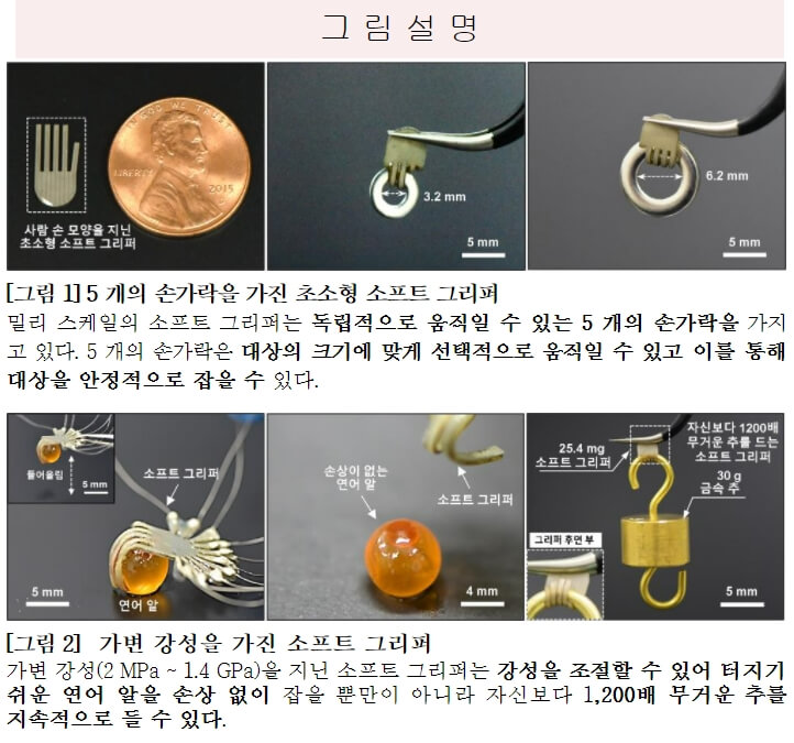  사람 손 형상 닮은 초소형 소프트 로봇(그리퍼) 개발 [과학기술정보통신부]