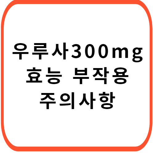 우루사정-300mg-성분-효능-부작용-썸네일