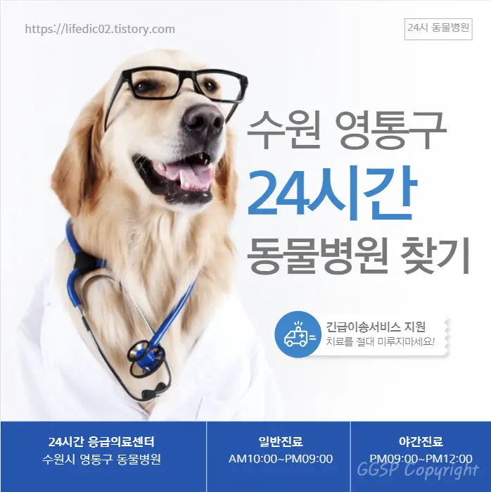  영통구 24시간 동물병원 근처 야간 일요일 고양이 병원 찾기