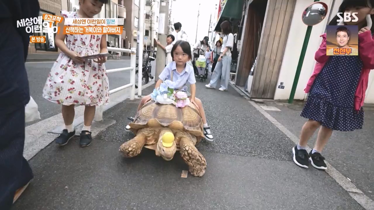 순간포착 세상에 이런일이.E1243.230827p-NEXT.mp4_20230827_173836.301.jpg