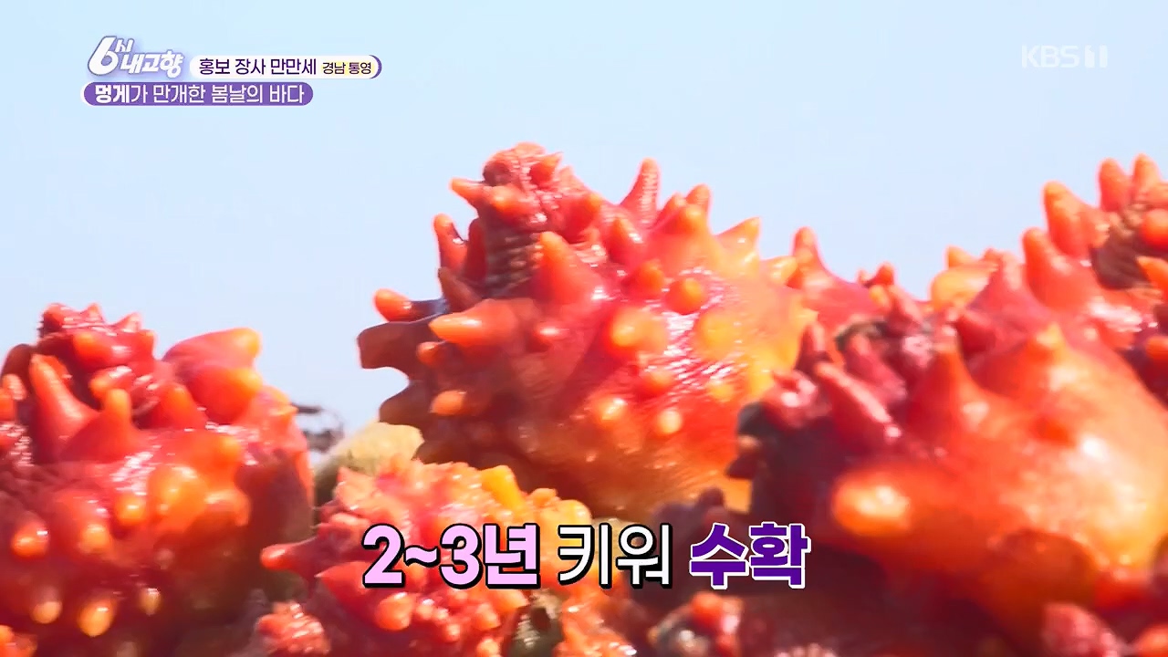 6시 내고향.E7779.230503p.H264-F1RST.mp4_20230505_183309.389.jpg