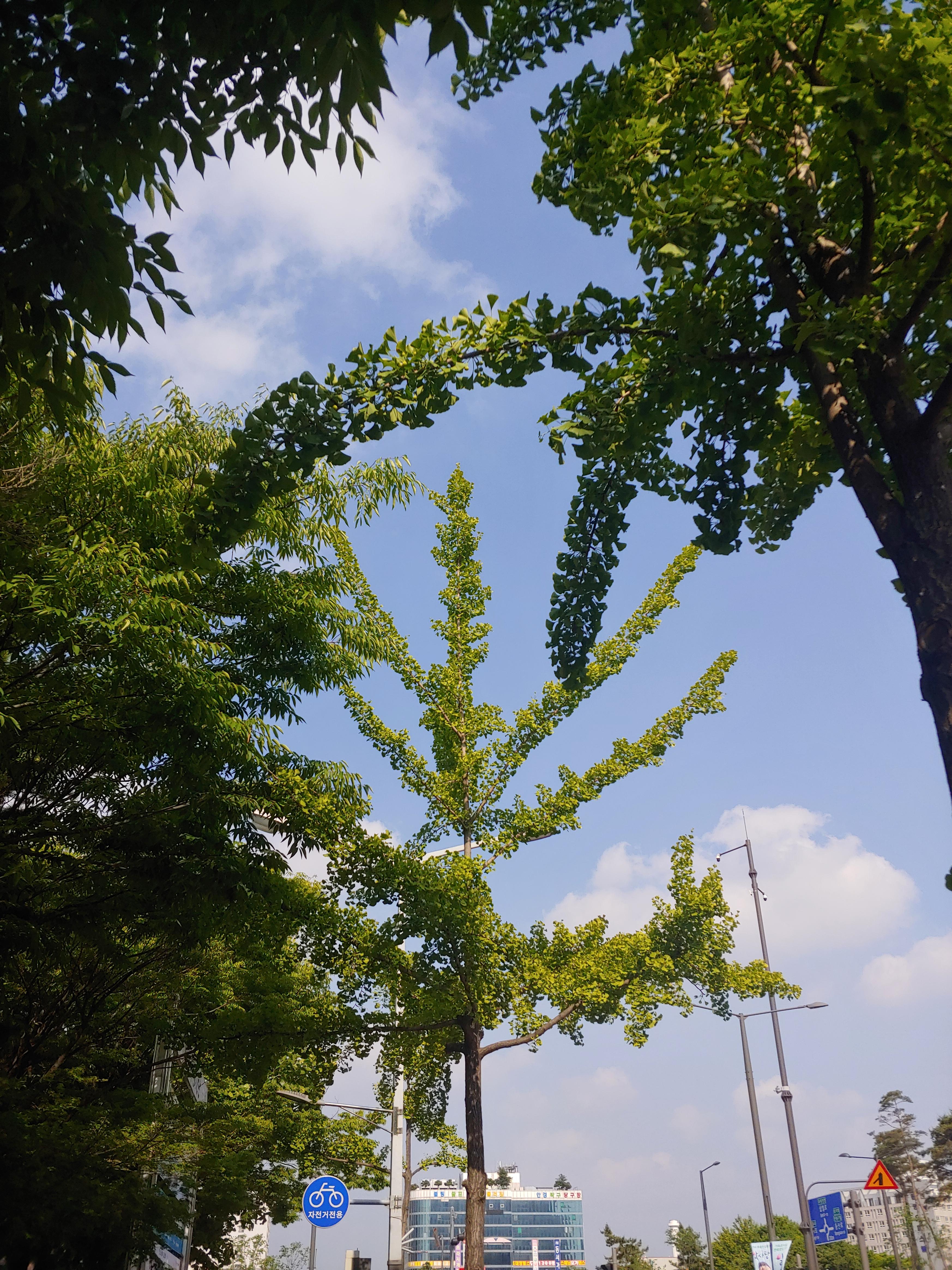 알바대타