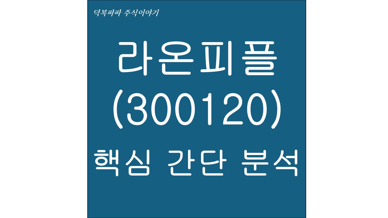 라온피플(300120) 핵심 간단 분석