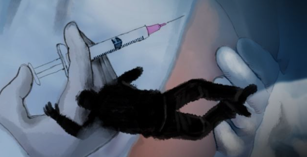 화이자 2차 사망 화이자 2차 접종한 아내가 다음날 사망했습니다. 국민청원, 시흥서 3