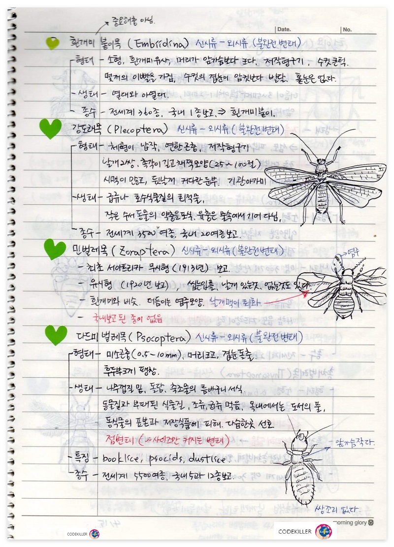 곤충의 계통분류 - 흰개미붙이목&#44;강도래목&#44;민벌레목&#44;다드미벌레목