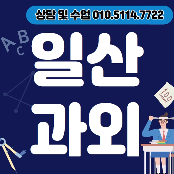  일산 초등 영어과외 일산동 고등 수학과외 중등 과학 일대일 전과목 내신 개인지도
