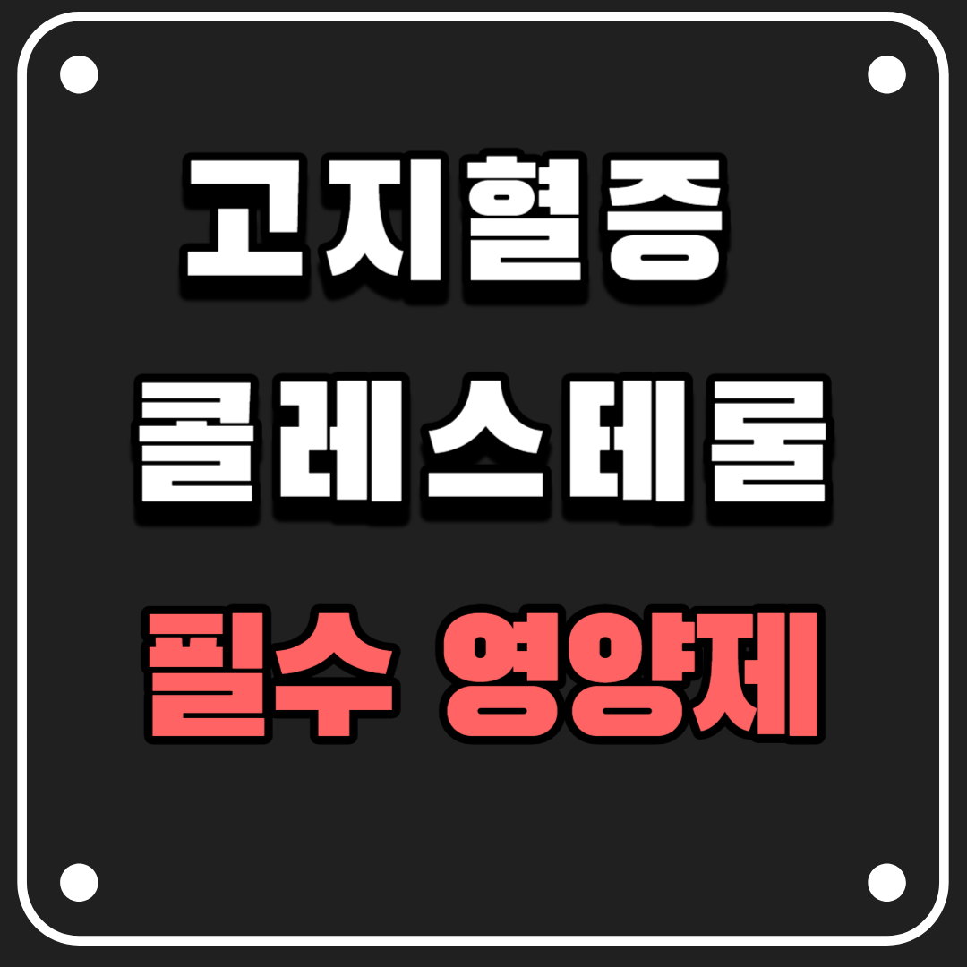  고지혈증과 콜레스테롤 관리를 위한 필수 영양제