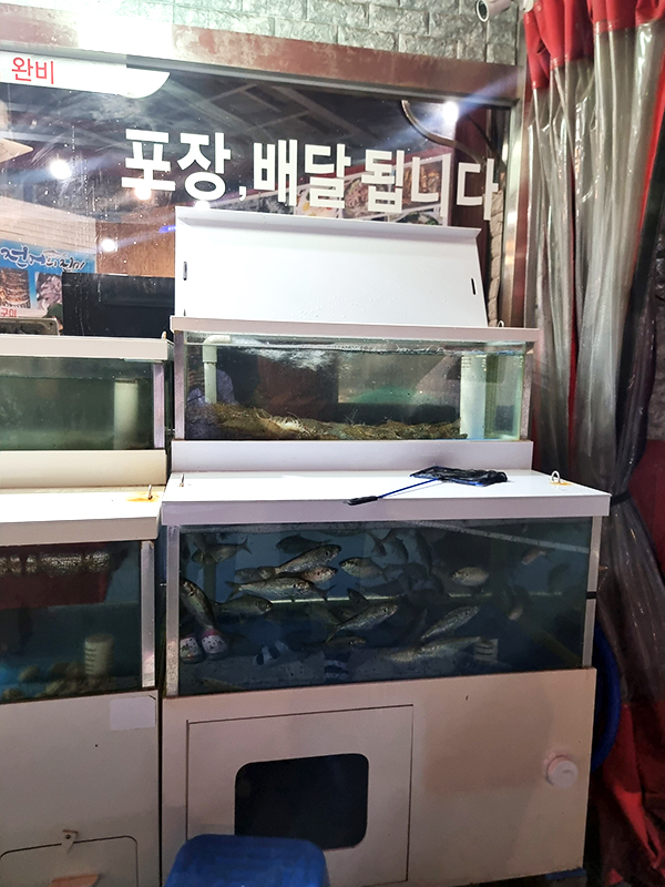 해물명가구룡포 영등포점