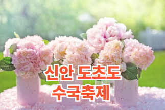 신안 도초도 수국축제