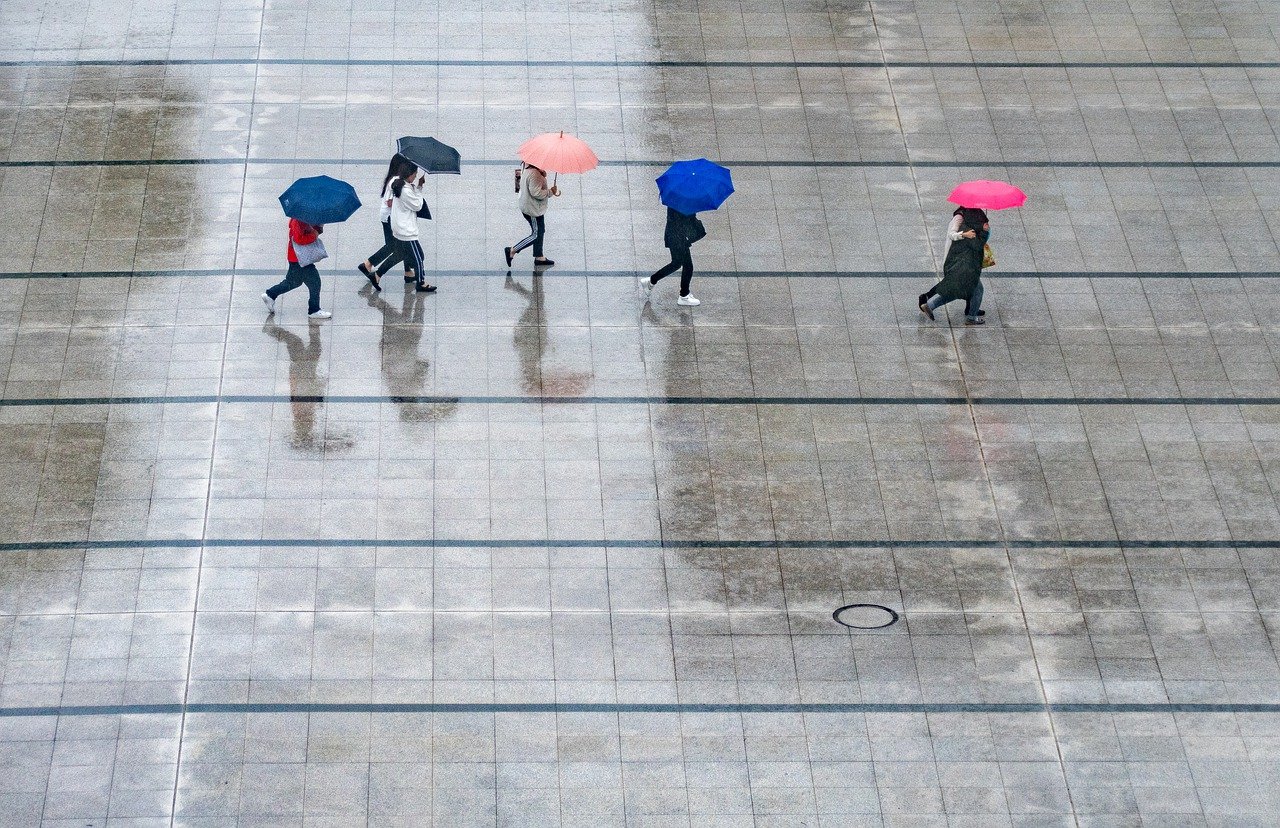 비 내리는 사진 / 우산 쓰고 걸어가는 사진 / 빗방울 사진