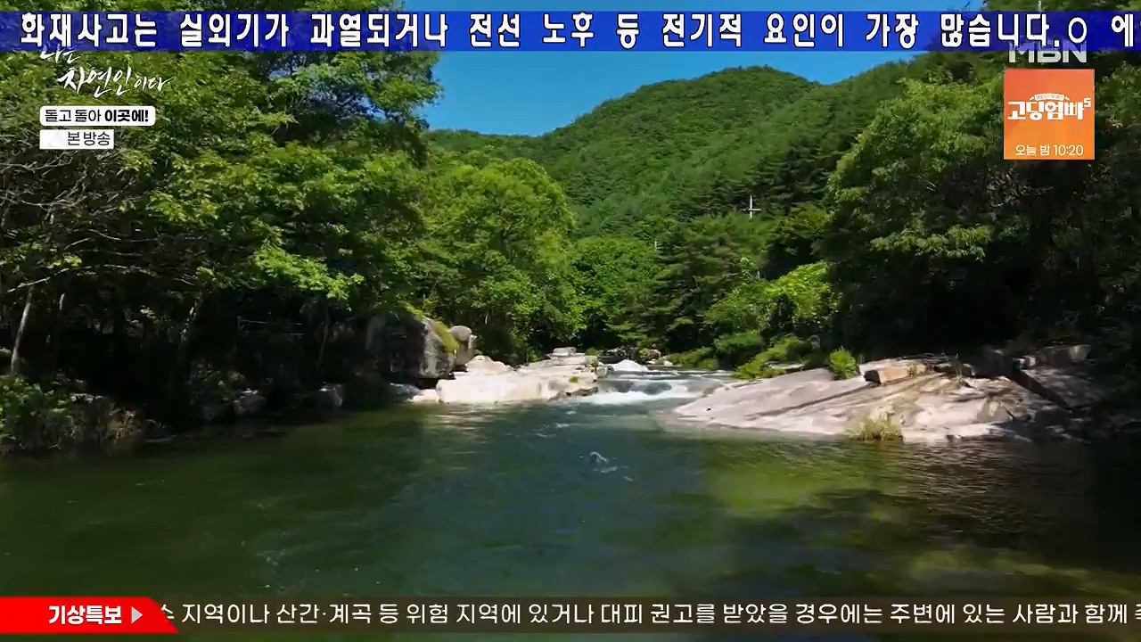 나는 자연인이다.E614.240718p-NEXT.mp4_20240718_195139.278.jpg