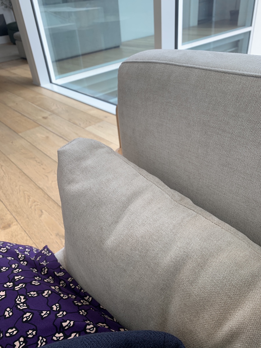 잭슨카멜레온, 플랜트란스 8