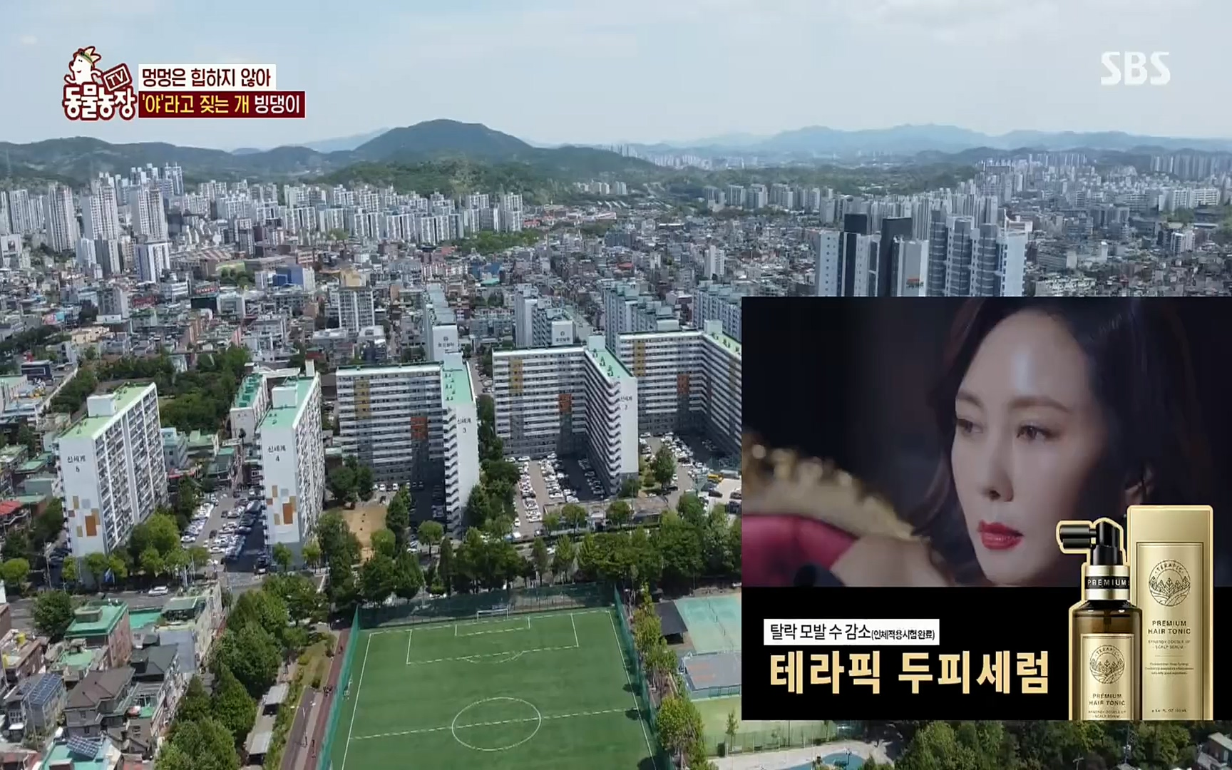 TV 동물농장.E1072.220605p.H264-F1RST.mp4_20220605_181427.884.jpg