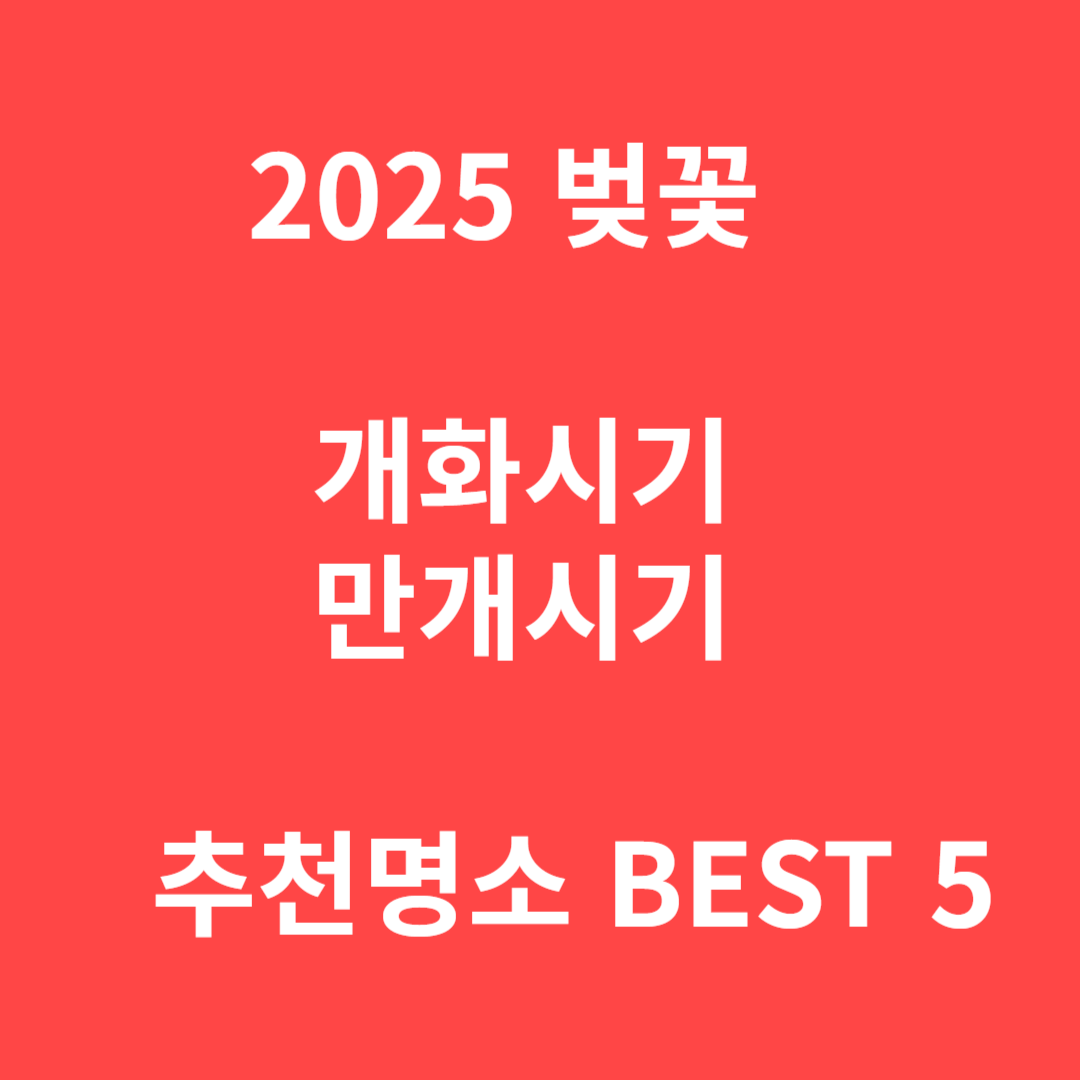 벚꽃