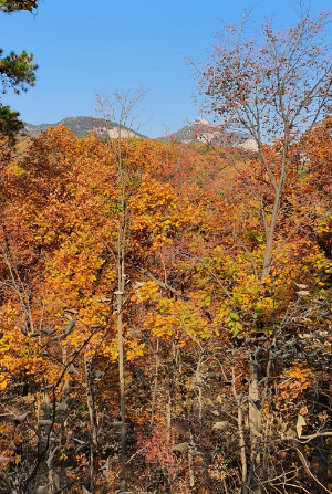 강릉 가는 길