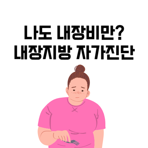 내장지방-자가진단-없애는방법-빼는법-운동-약