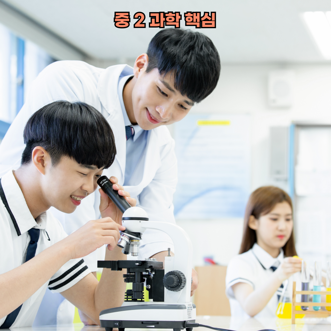 중2 과학 핵심 