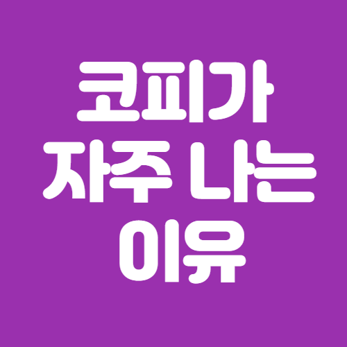  코피가 자주나는 이유