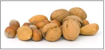 호두 호도 중 바른 표현은 2