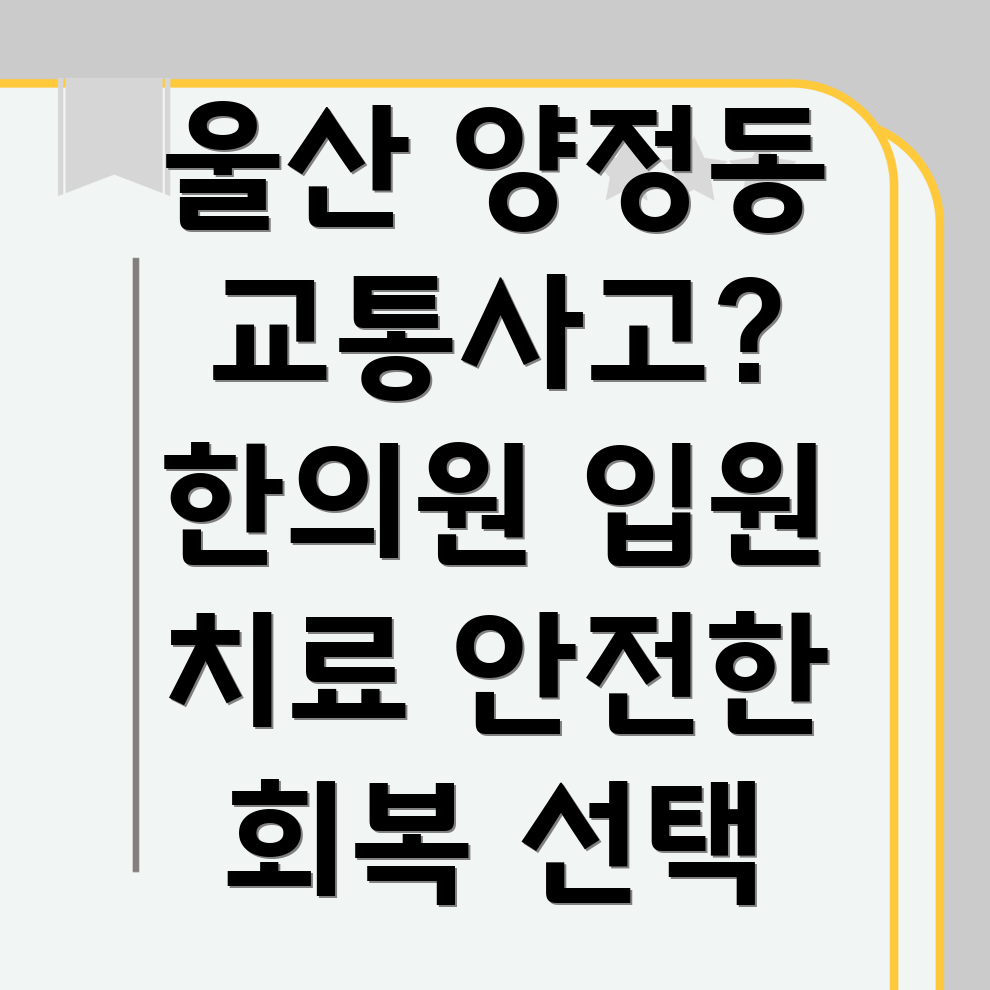 울산 북구 양정동 교통사고 한의원