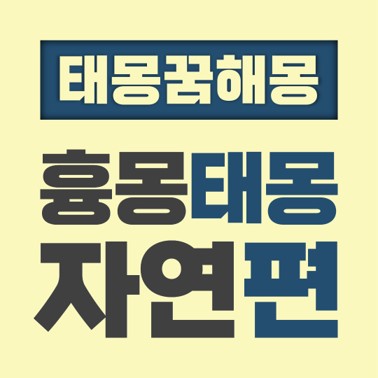  [꿈해몽풀이] 흉몽 태몽 자연편 (강 구름 눈 물 별 비 사막 산 안개 연못 우레 우박 폭풍 하늘 해 태양 해일)