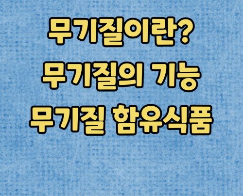  무기질은 무엇일까? :: 무기질의 기능과 함유된 식품