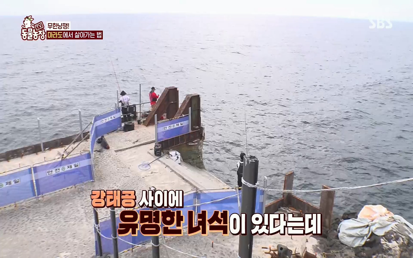 TV 동물농장.E1077.220710p.H264-F1RST.mp4_20220710_175428.276.jpg