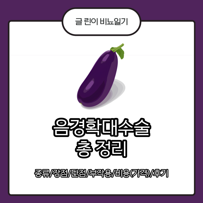  음경확대수술 총 정리 : 종류/장점/단점/부작용/비용(가격)/후기