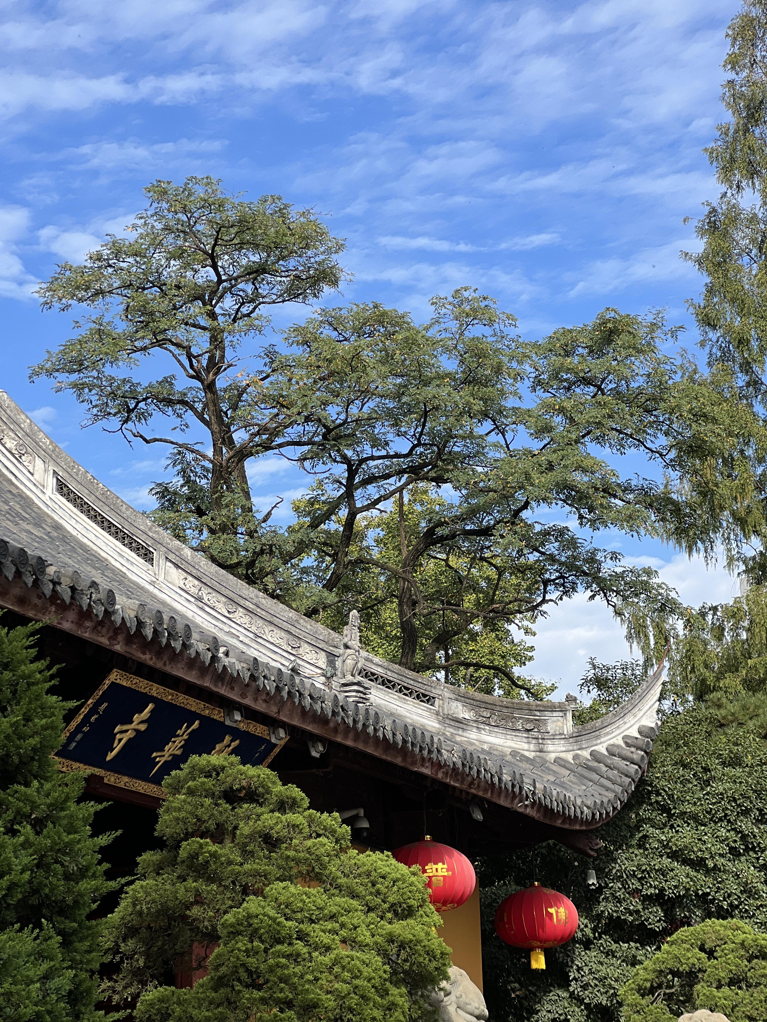 龙华寺 용화사 룽화사 상해갈만한곳 상해 사찰 상하이 사찰 상하이여행