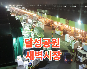 대구 달성공원 새벽시장