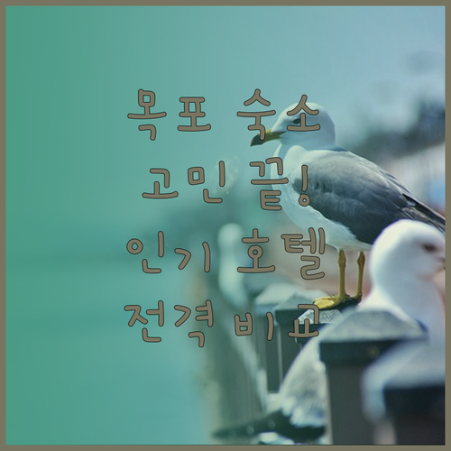 목포 숙소 고민 끝! 인기 호텔 파헤