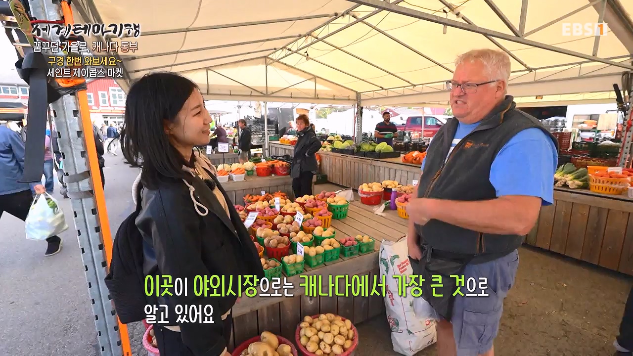 세상의모든기행꿈꾸던 가을로 캐나다 동부-다시 올 이유, 단풍국.mp4_20231127_205050.605.jpg